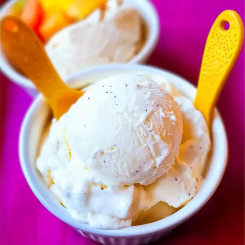 Homemade Frozen Yogurt
