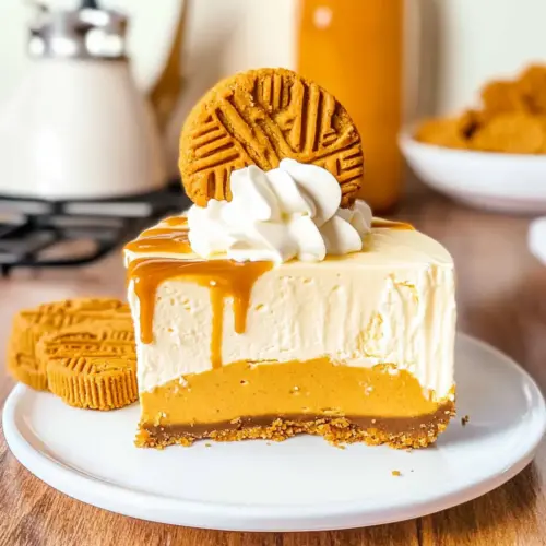 No Bake Cookie Butter Cheesecake
